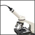Apex Microscope Slide Sets