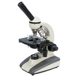 The Apex Observer 01